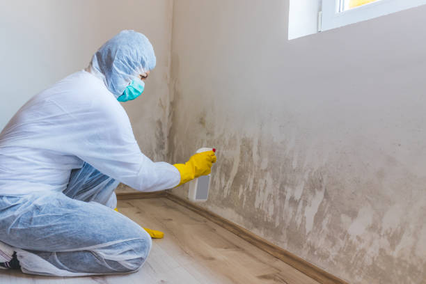Licensed Commercial Mold Remediation service in Claysburg, PA - WQB Mold Removal