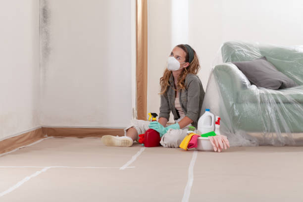 Reliable Commercial Mold Remediation contractor in Claysburg, PA by WQB Mold Removal